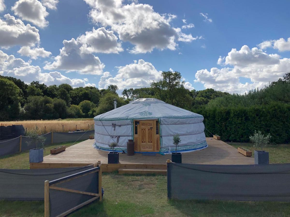 Camping Buzzard Holt Hosting