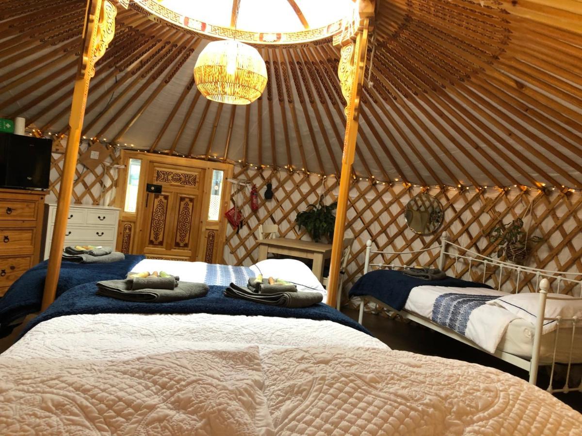 Camping Buzzard Holt Hosting *