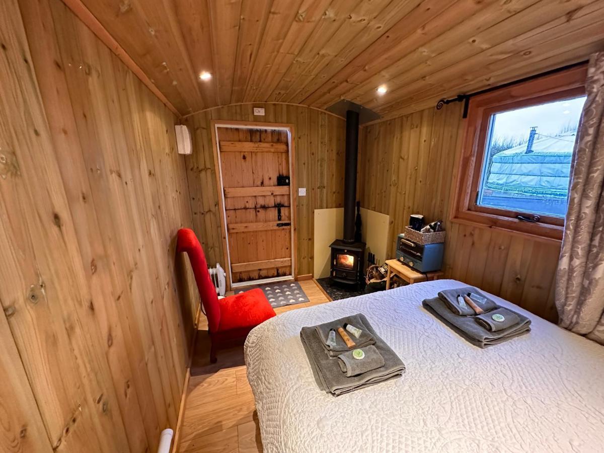 Camping Buzzard Holt Hosting *
